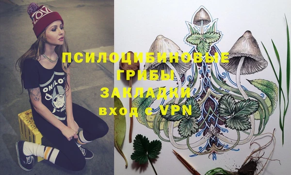 стафф Баксан